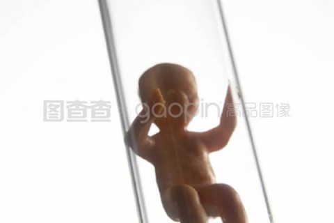 http://dalian.nbgk120.com/post/209.html|大连捐卵费用
