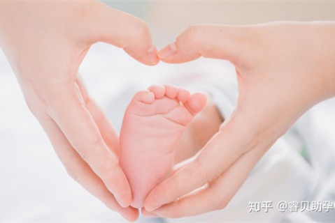夏天大连捐卵宝宝发烧 莫要急