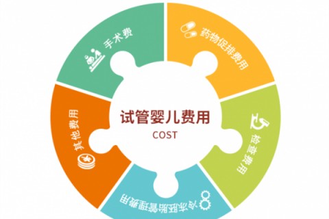 大连捐卵宝宝肚痛，父母该怎么办？